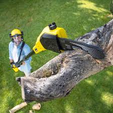 Best Storm Damage Tree Cleanup  in Mccleary, WA