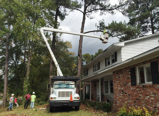 Best Utility Line Clearance  in Mccleary, WA
