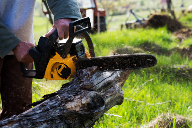 Best Lawn Maintenance Plans  in Mccleary, WA